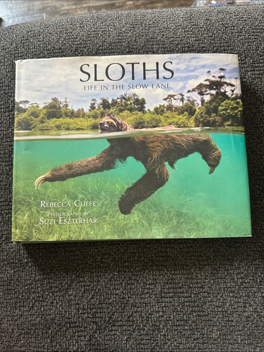 Sloths: Life in the Slow Lane Hardcover Photo Book